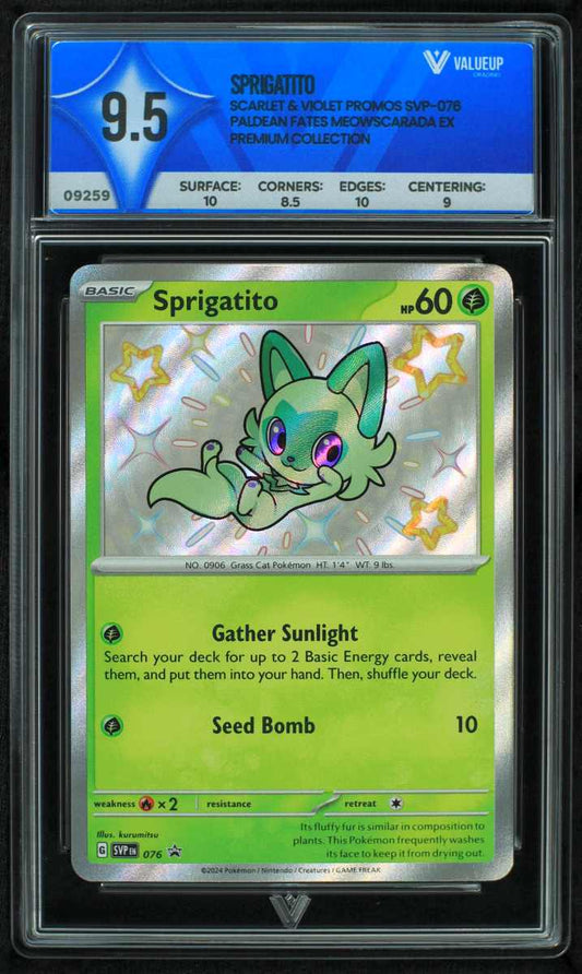 09259 SPRIGATITO