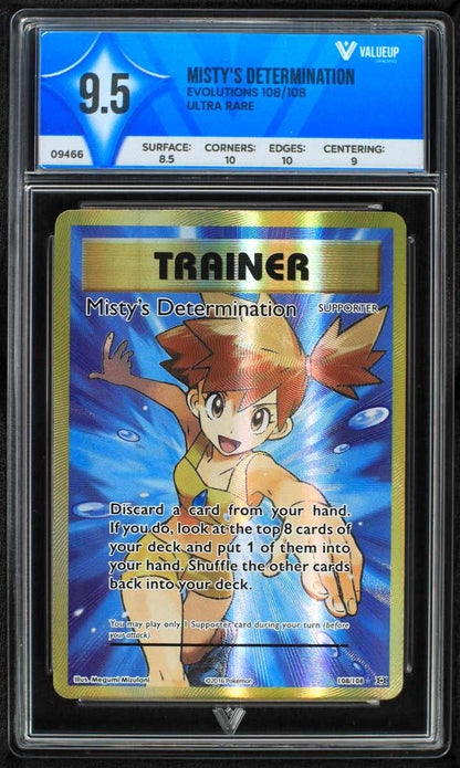 09466 MISTY'S DETERMINATION