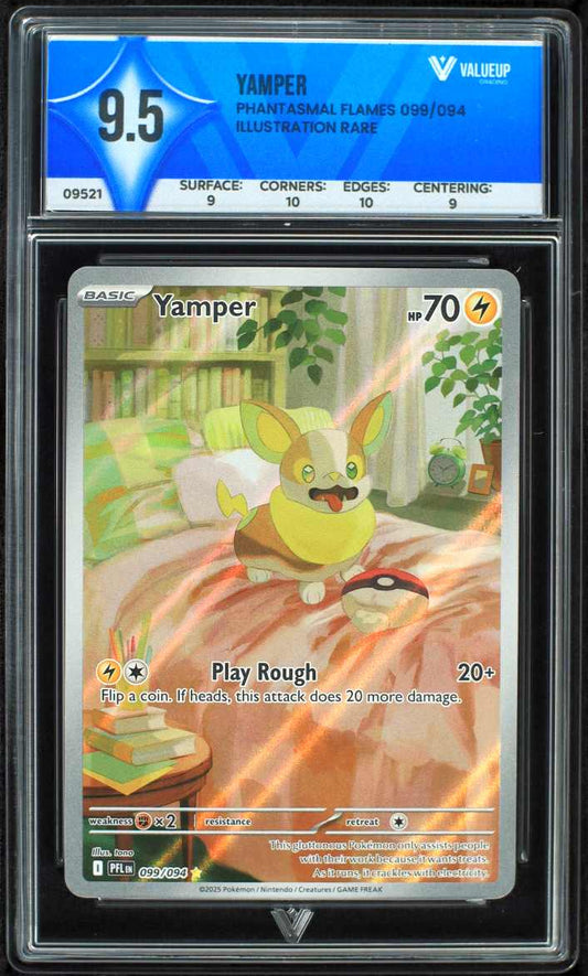 09521 YAMPER