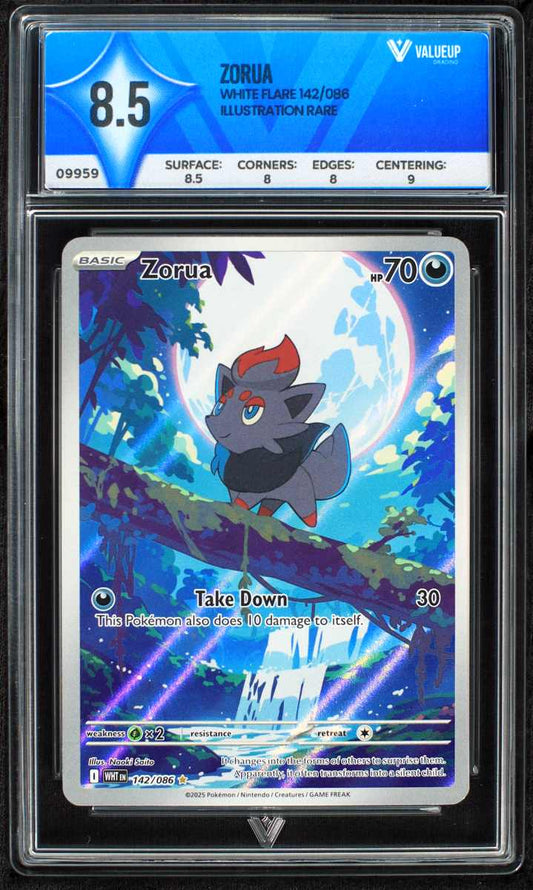 09959 ZORUA