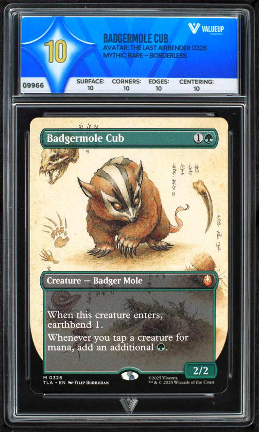 09966 BADGERMOLE CUB