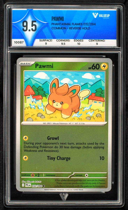 10087 PAWMI