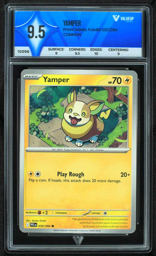 10096 YAMPER