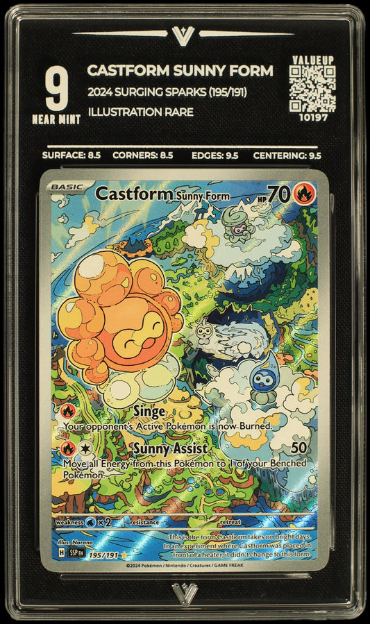 10197 CASTFORM SUNNY FORM