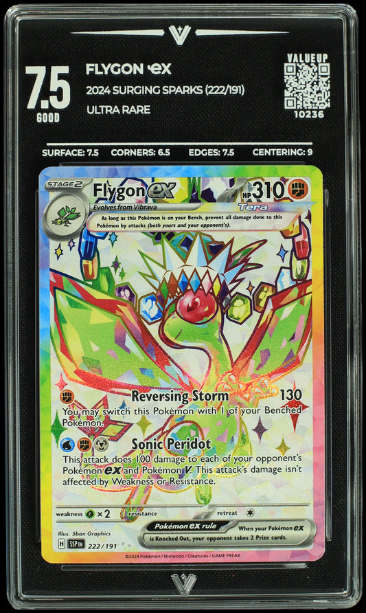 10236 FLYGON Ҽx