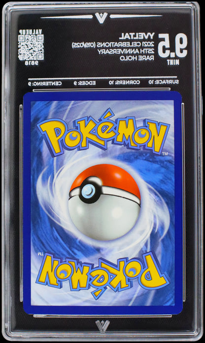 9818 YVELTAL