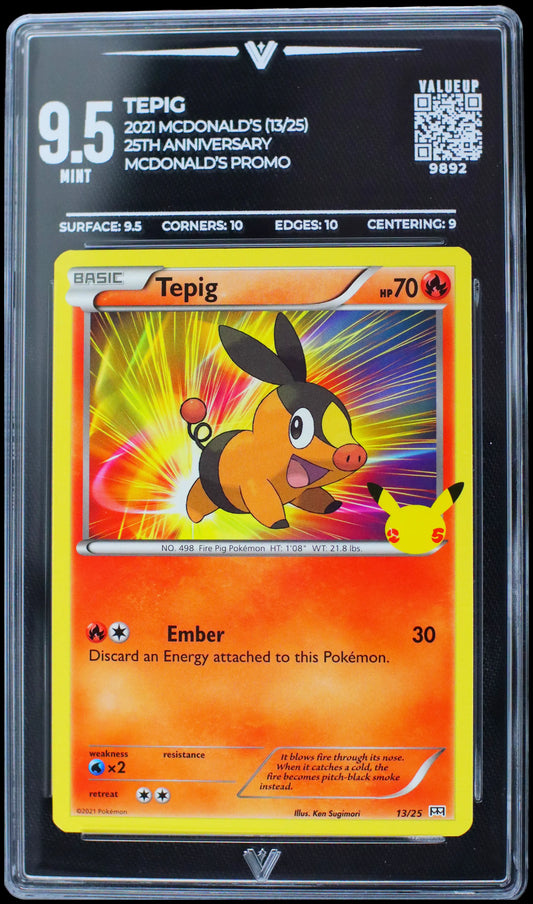 9892 TEPIG