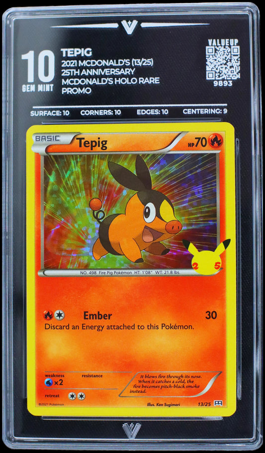 9893 TEPIG