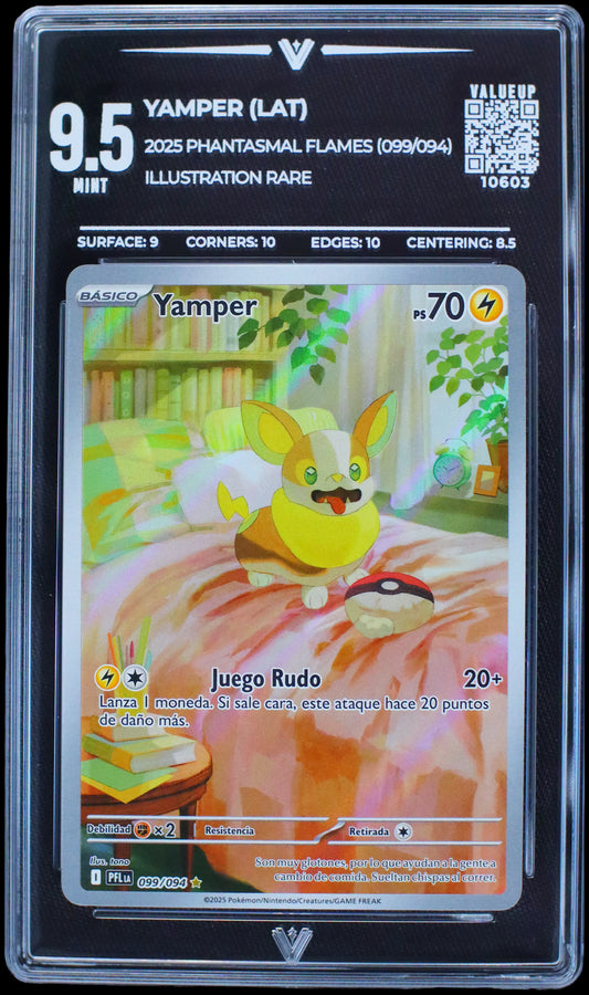 10603 YAMPER (LAT)