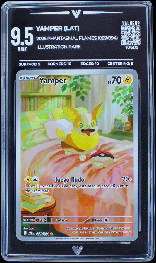 10605 YAMPER (LAT)