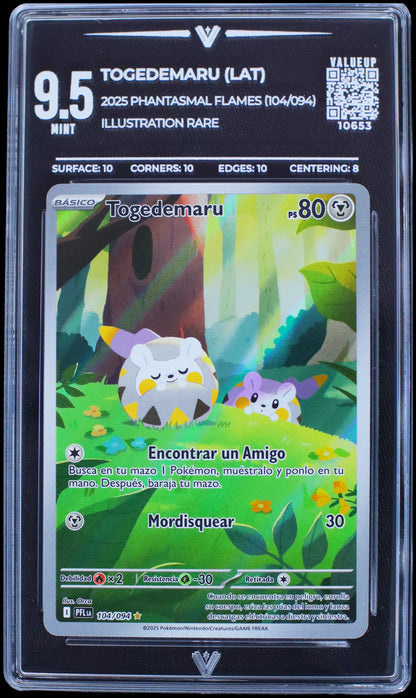 10653 TOGEDEMARU (LAT)