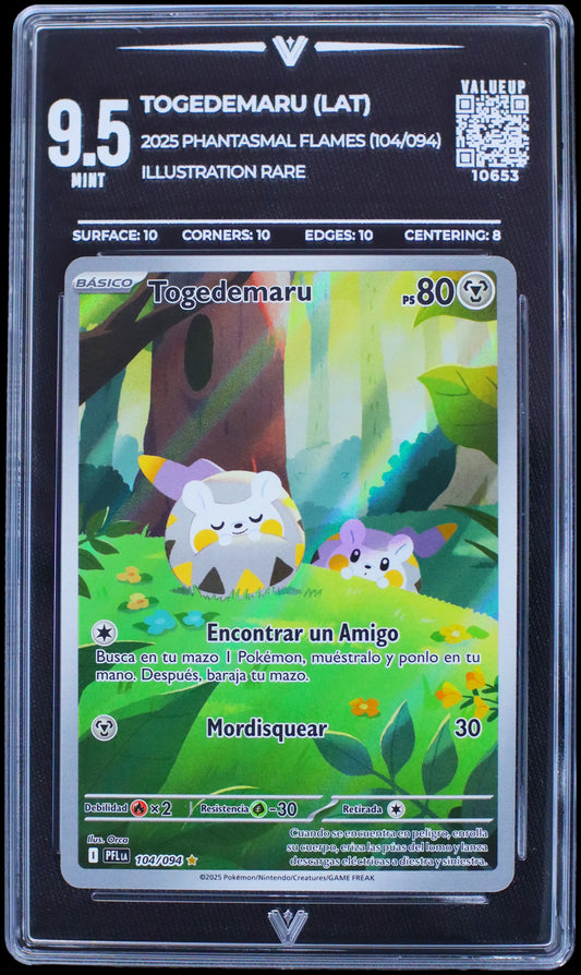 10653 TOGEDEMARU (LAT)