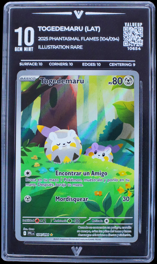 10654 TOGEDEMARU (LAT)