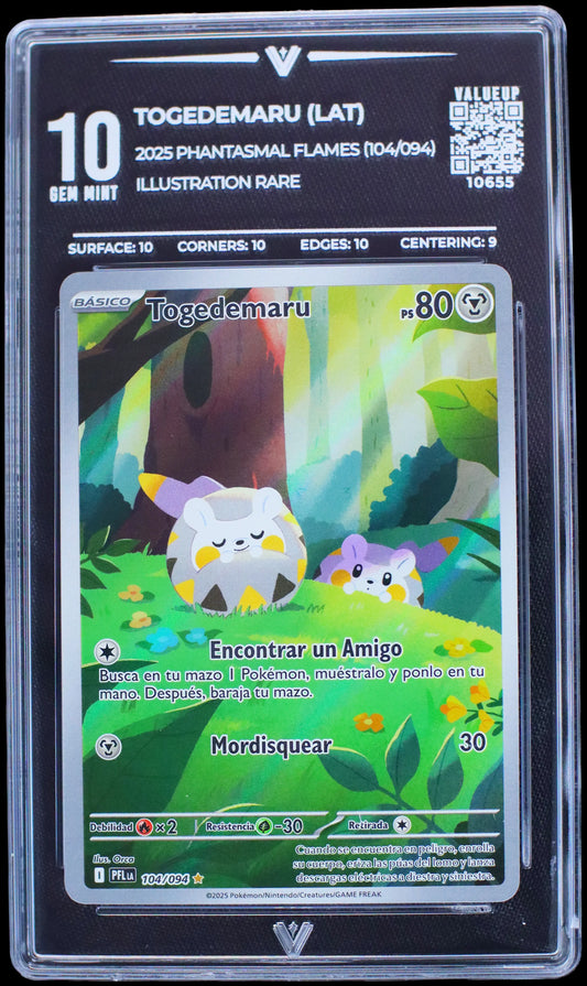 10655 TOGEDEMARU (LAT)