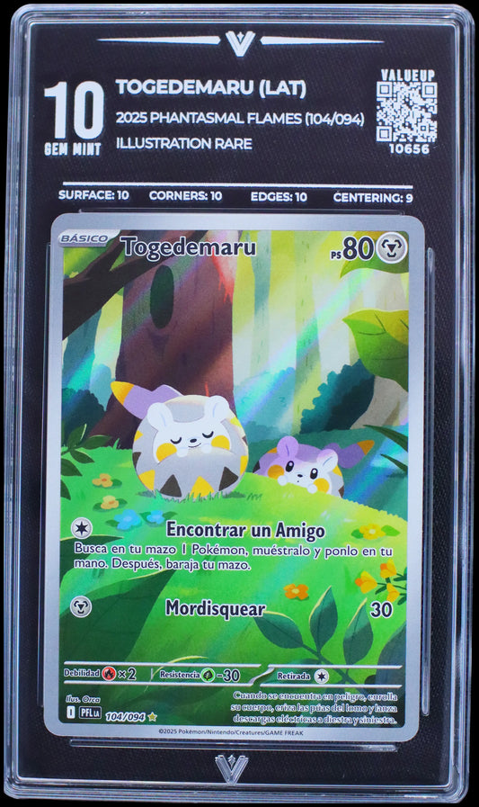 10656 TOGEDEMARU (LAT)