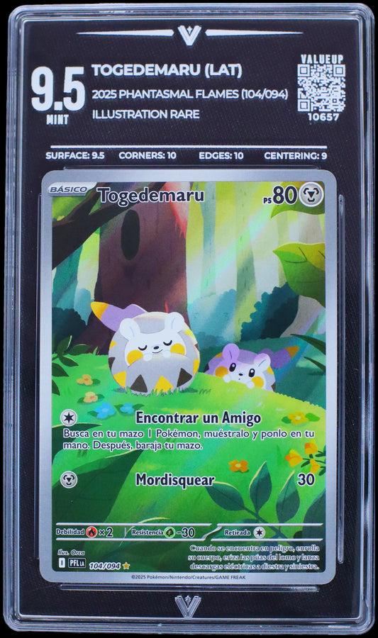 10657 TOGEDEMARU (LAT)