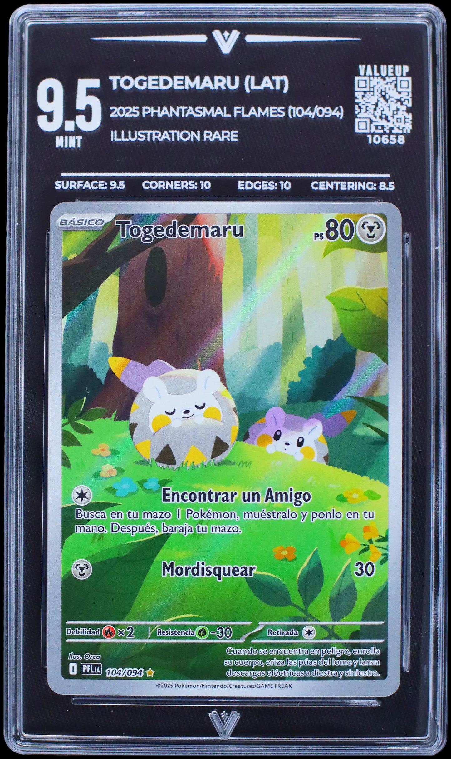 10658 TOGEDEMARU (LAT)