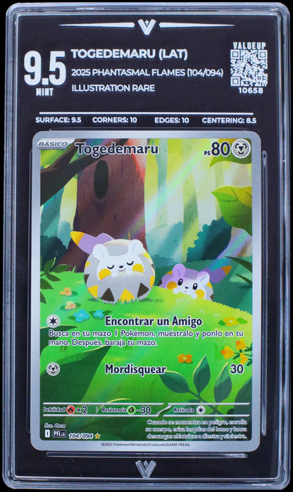10658 TOGEDEMARU (LAT)