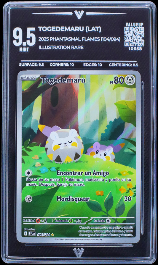 10658 TOGEDEMARU (LAT)