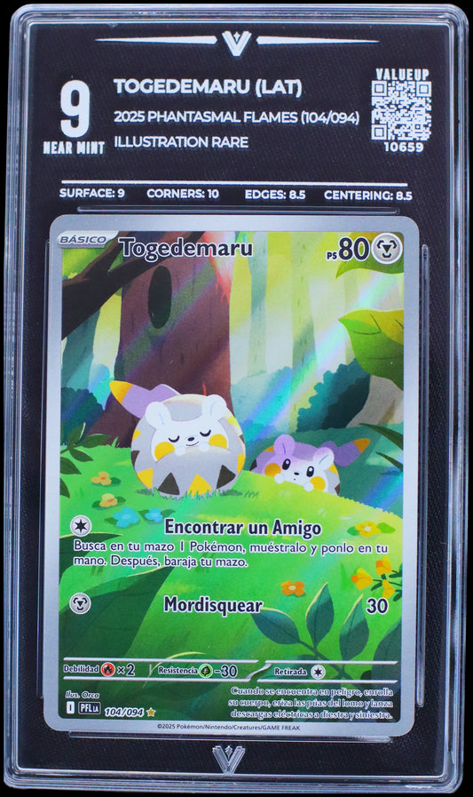 10659 TOGEDEMARU (LAT)