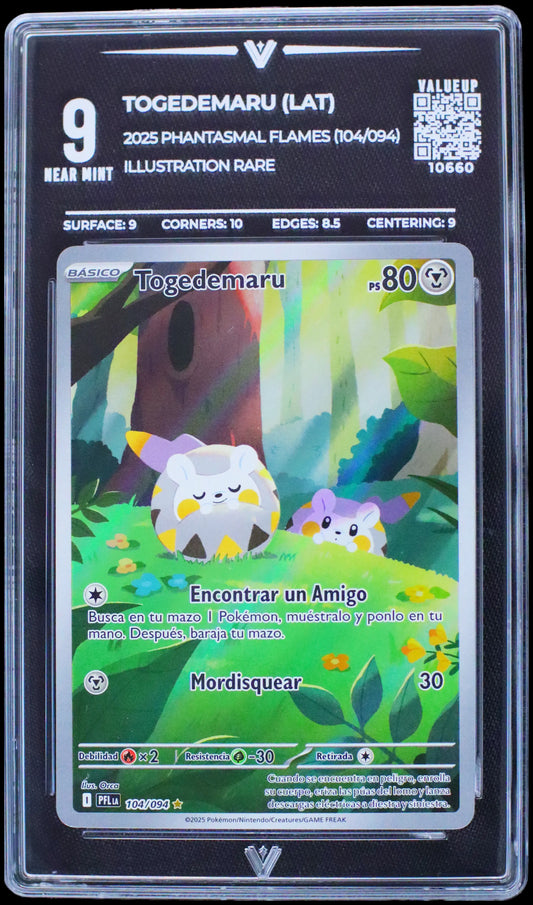 10660 TOGEDEMARU (LAT)