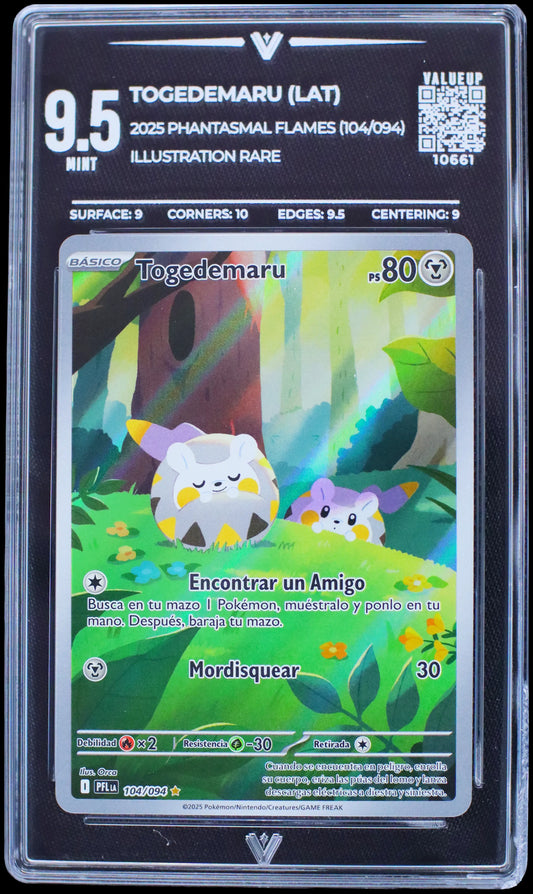 10661 TOGEDEMARU (LAT)