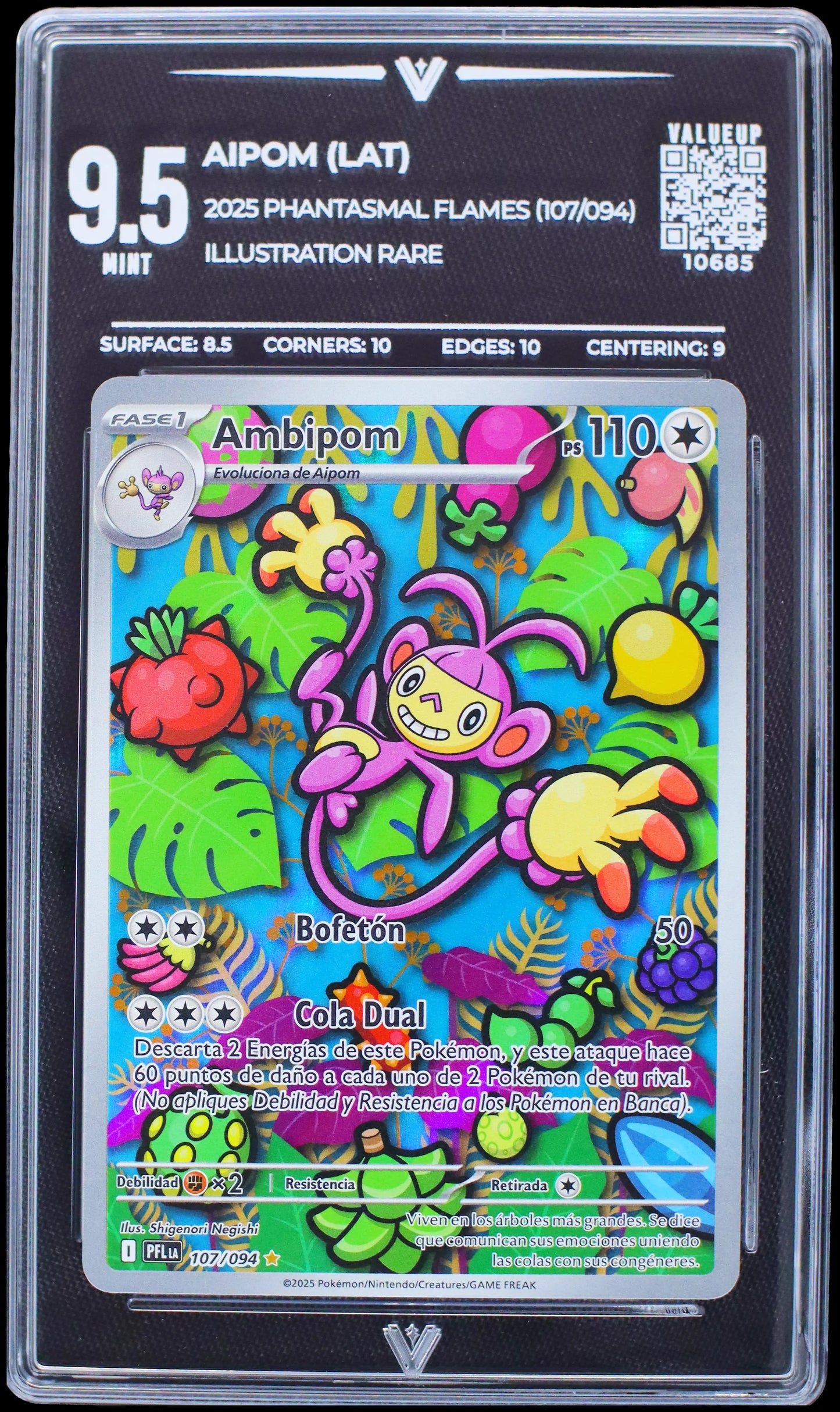 10685 AIPOM (LAT)