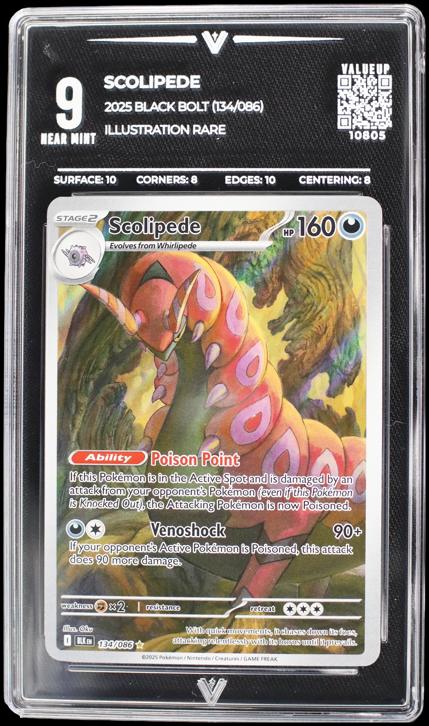 10805 SCOLIPEDE