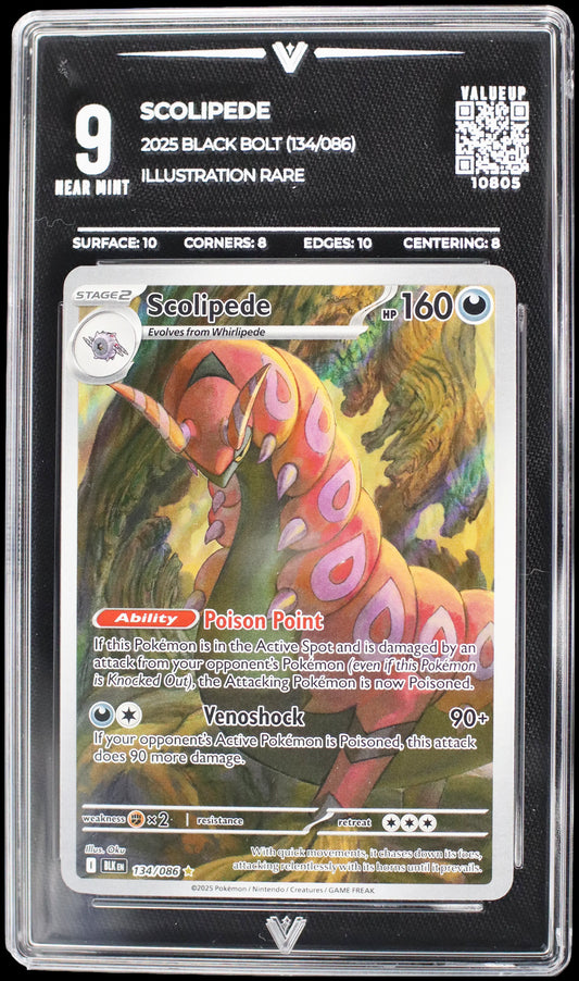 10805 SCOLIPEDE