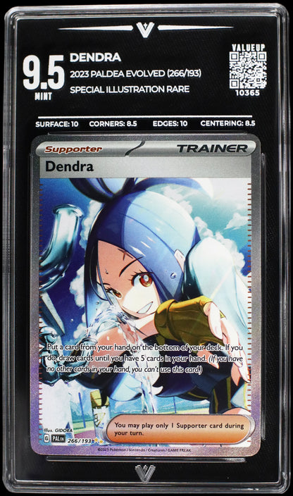 10365 DENDRA