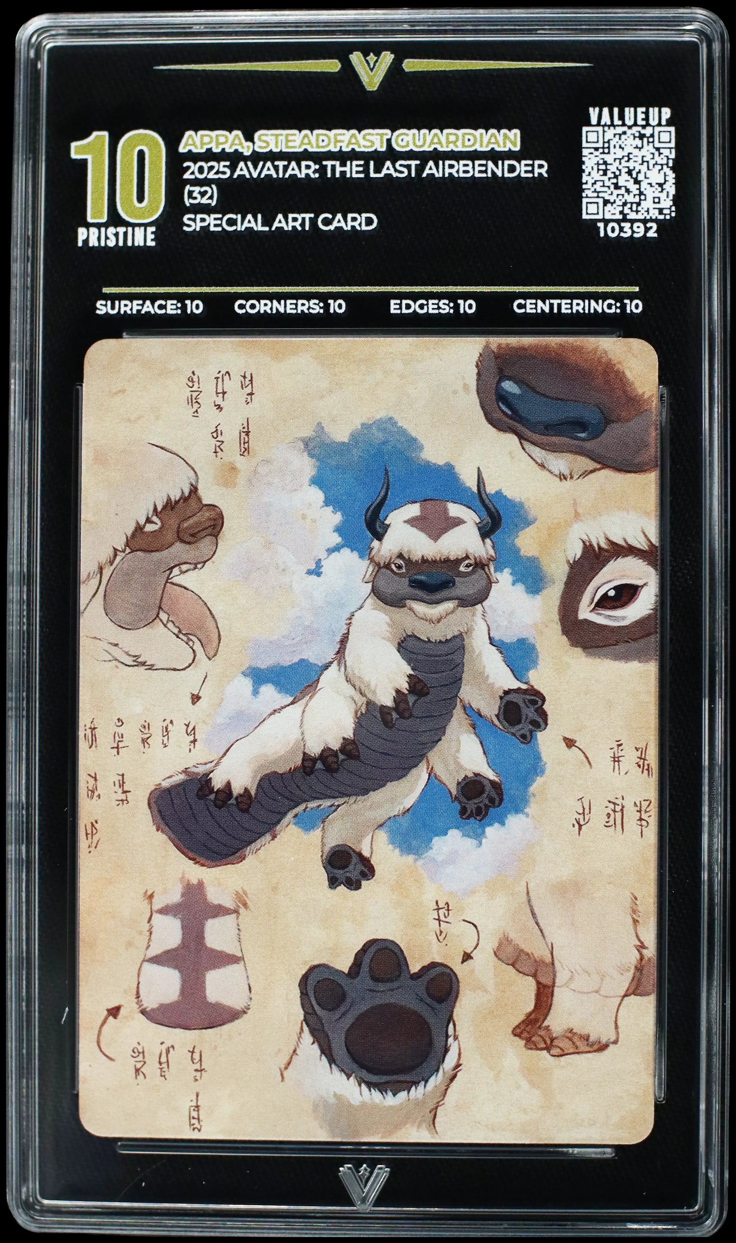 10392 APPA, STEADFAST GUARDIAN