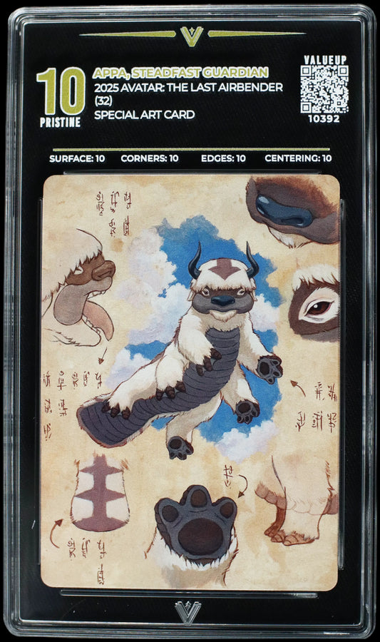 10392 APPA, STEADFAST GUARDIAN