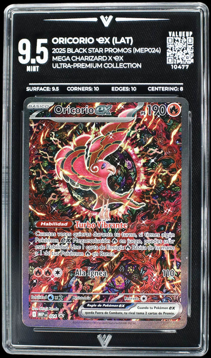 10477 ORICORIO Ҽx (LAT)