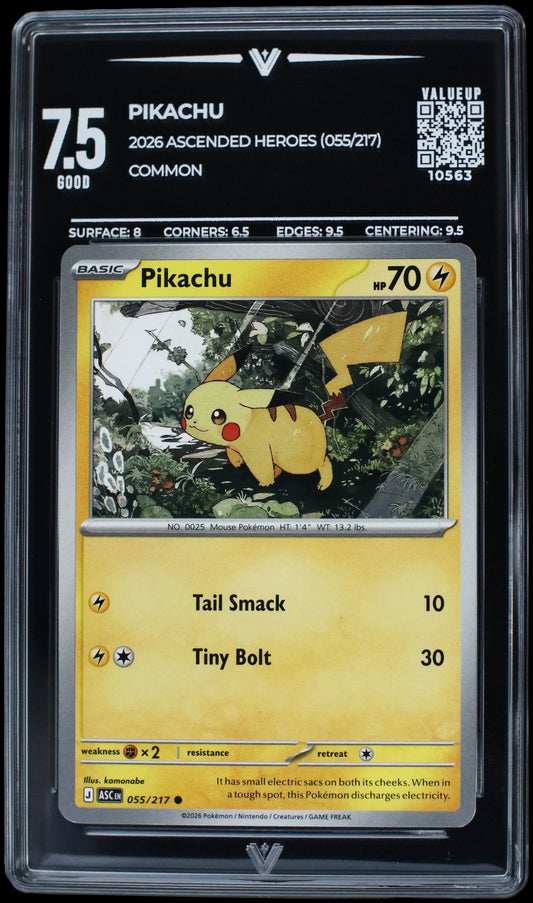 10563 PIKACHU