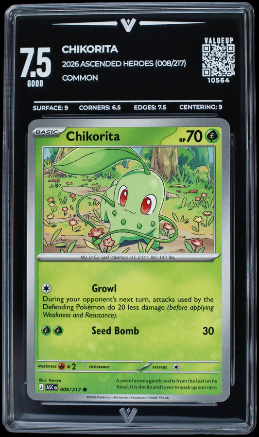 10564 CHIKORITA