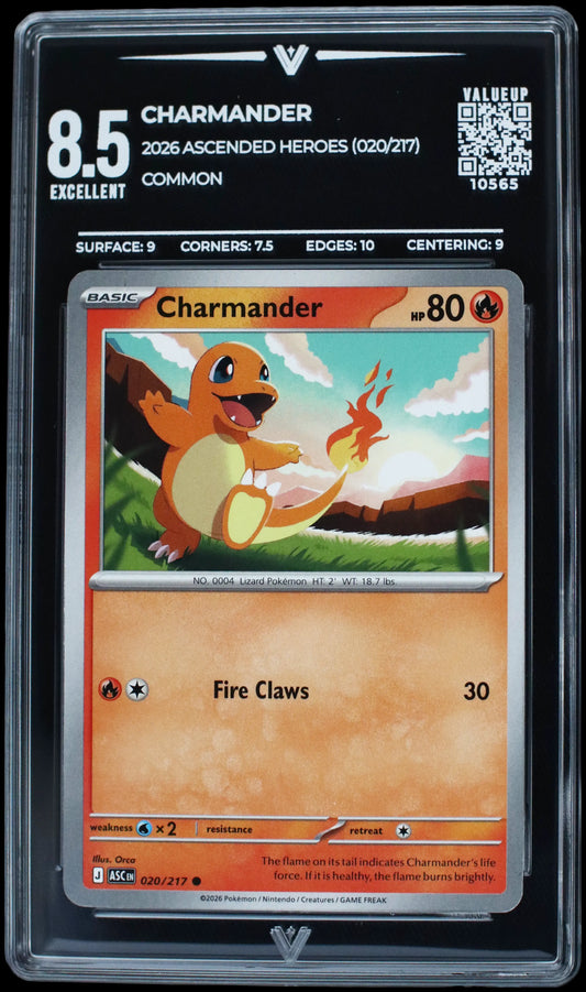 10565 CHARMANDER