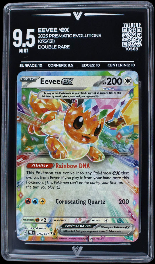 10569 EEVEE Ҽx
