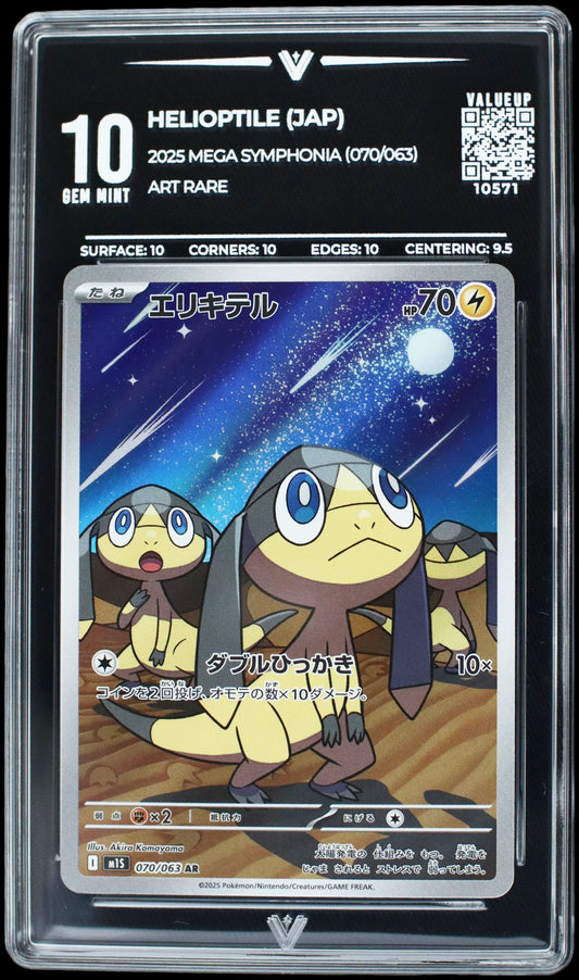 10571 HELIOPTILE (JAP)