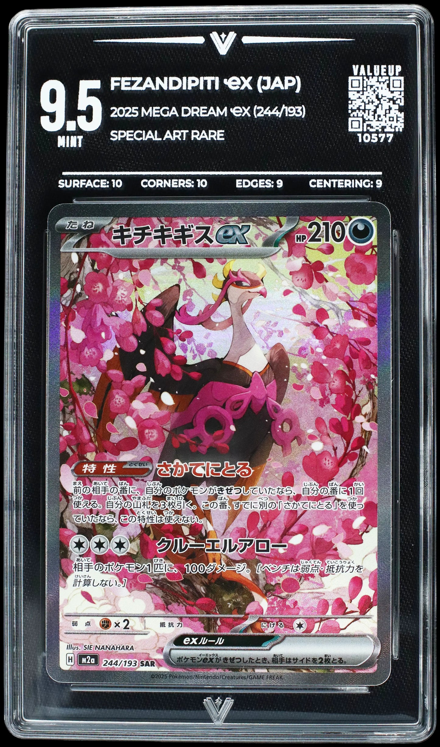 10577 FEZANDIPITI Ҽx (JAP)