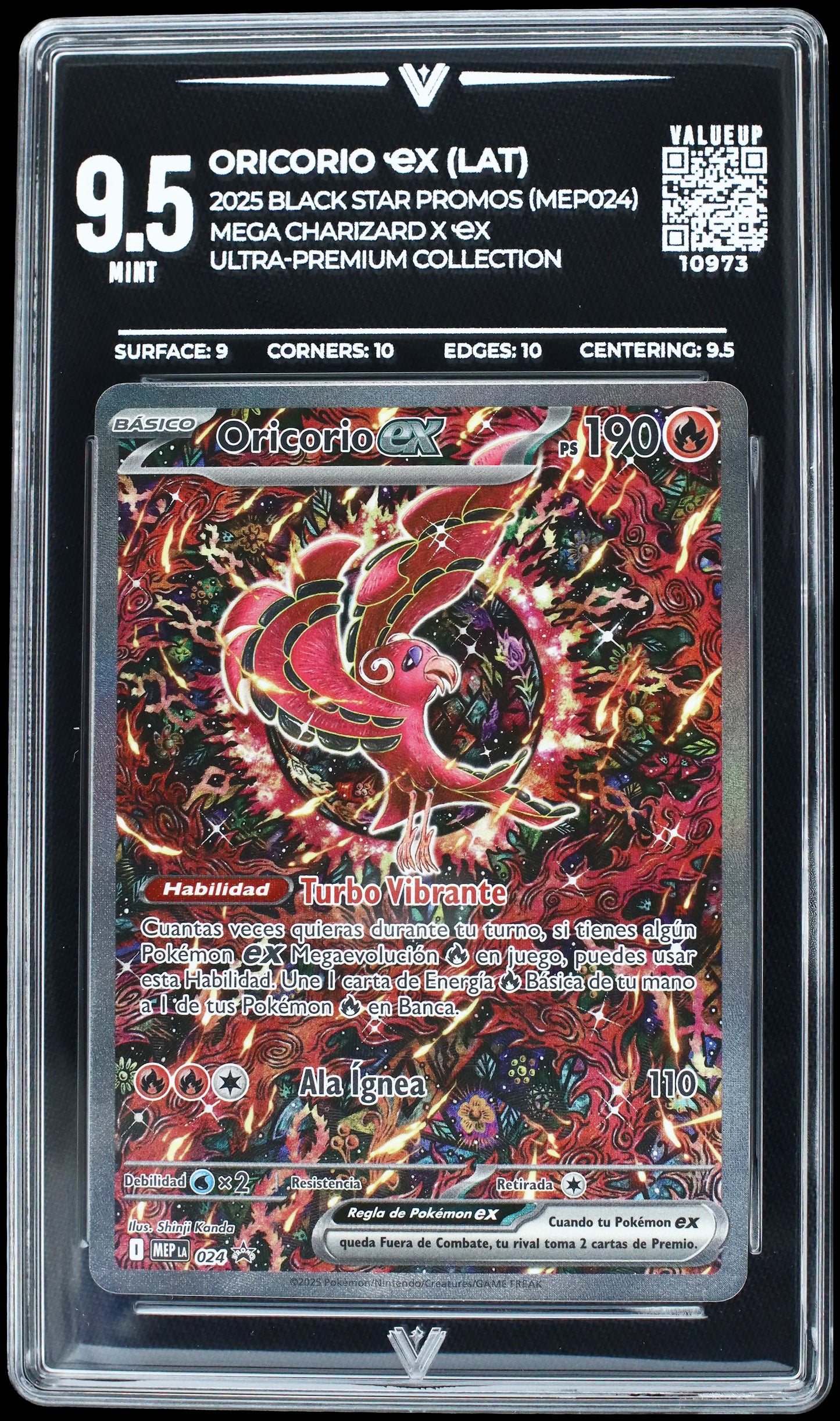 10973 ORICORIO Ҽx (LAT)