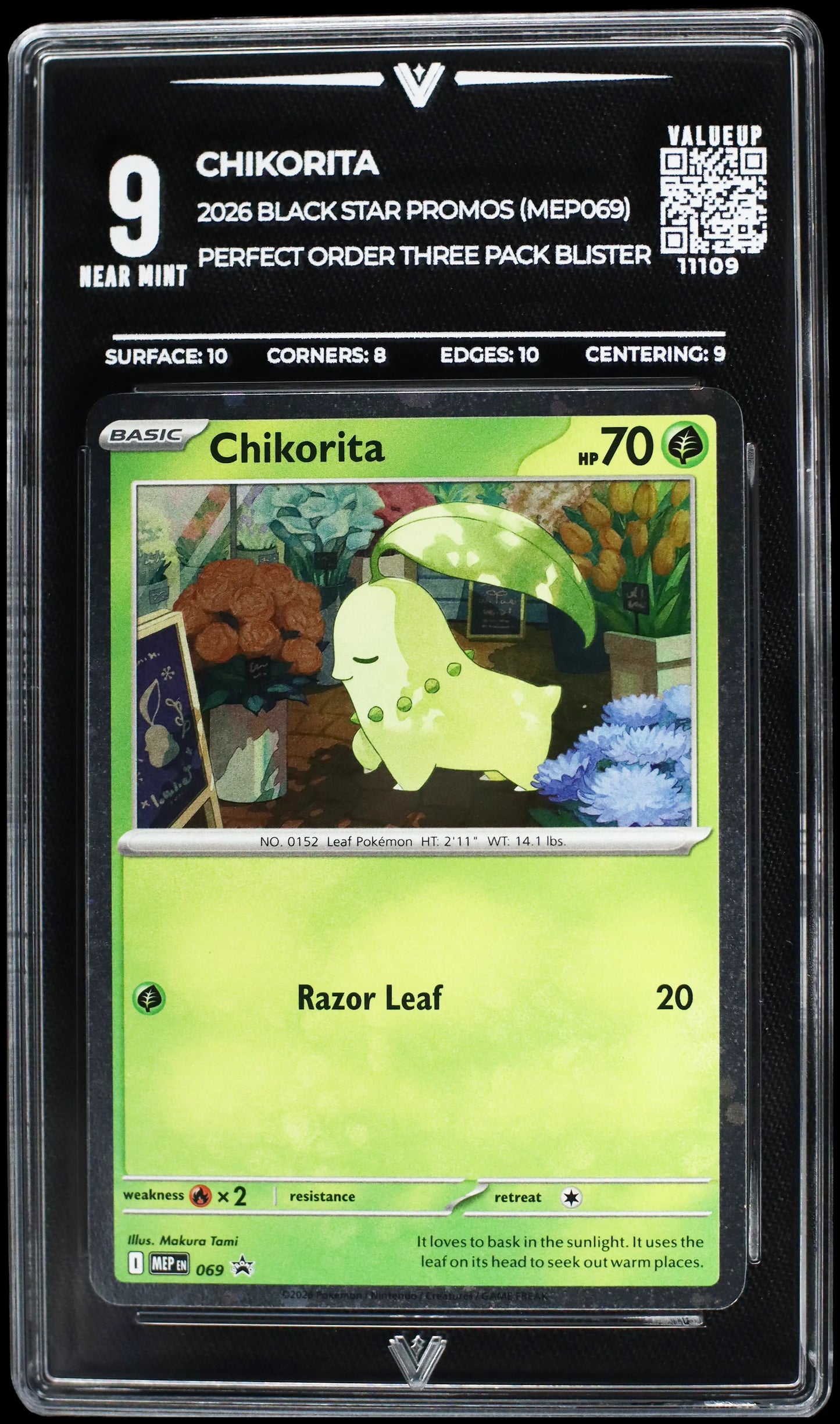 11109 CHIKORITA