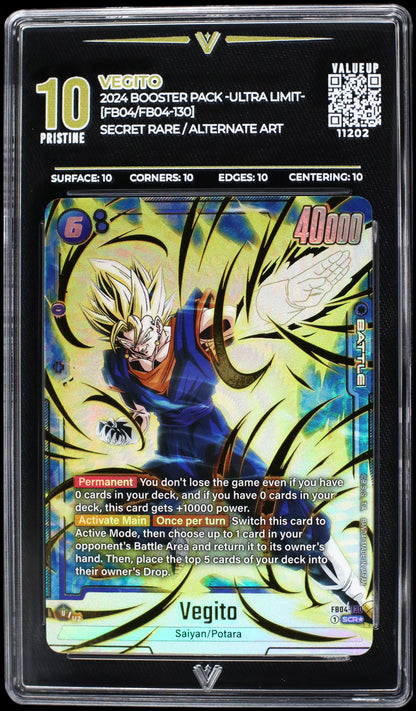 11202 VEGITO