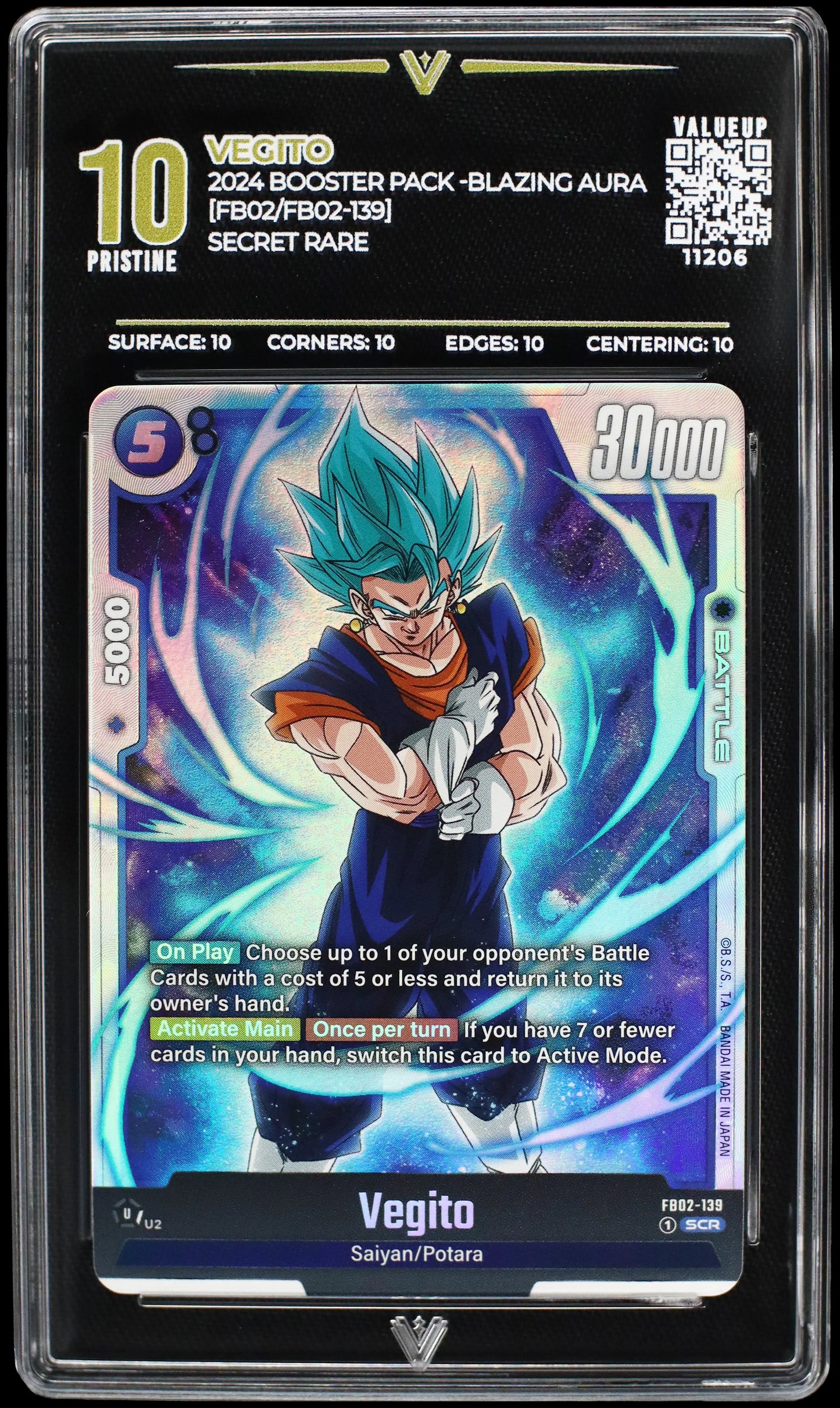 11206 VEGITO