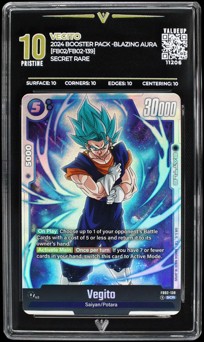 11206 VEGITO