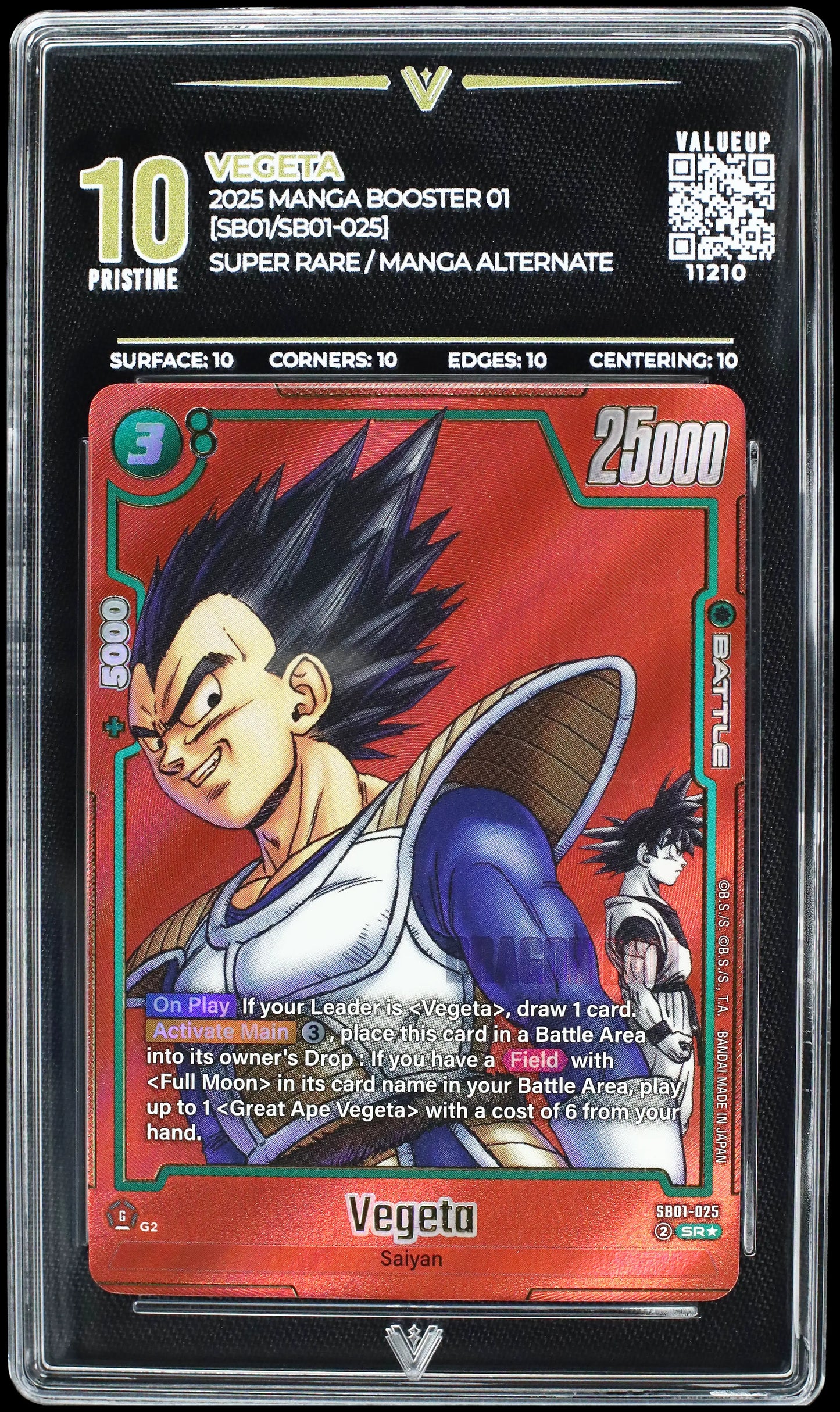 11210 VEGETA