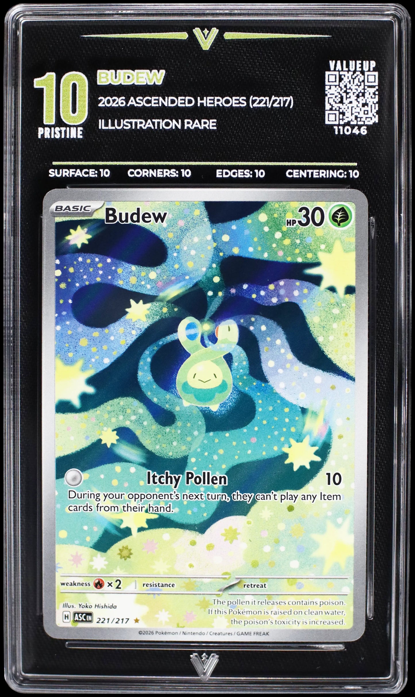 11046 BUDEW