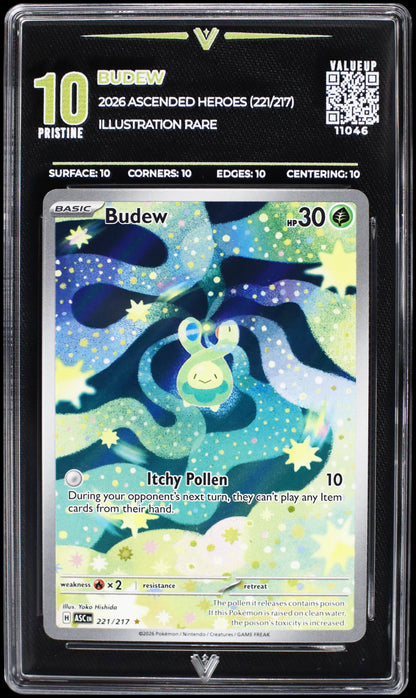11046 BUDEW