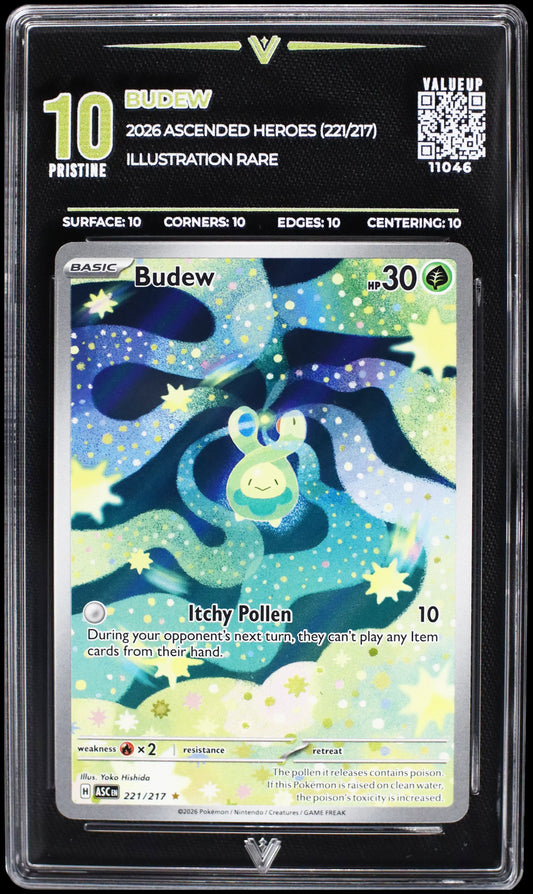 11046 BUDEW