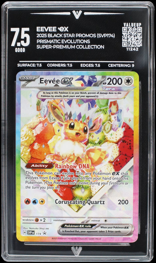 11242 EEVEE Ҽx