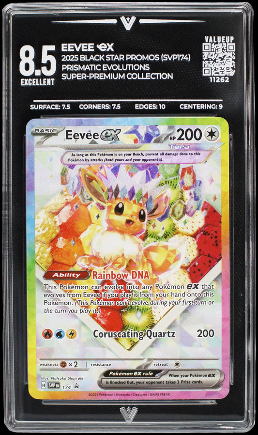 11262 EEVEE Ҽx